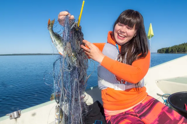 Karelian Country Cottages