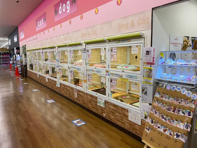 Pet Plaza Yao Kusune