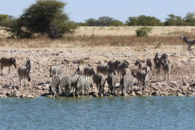 Okaukuejo Etosha