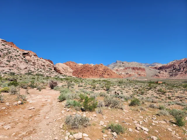 Calico Basin Trail