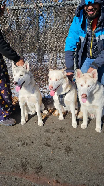Bruce A. Turcotte Memorial Park