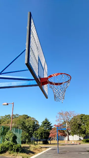 Shinozaki Park Basketball Court