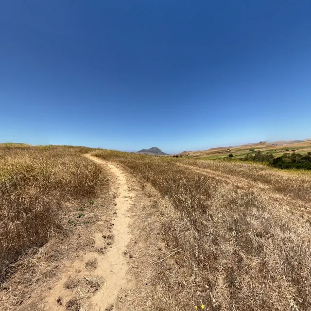 Children's Sage Meadow