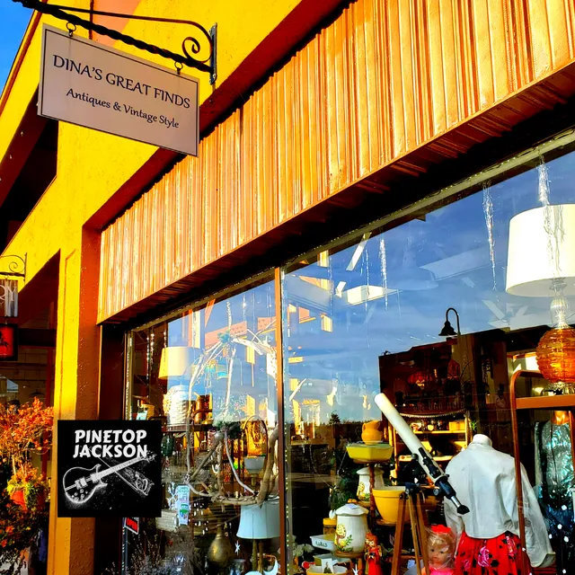 Dina’s Great Finds