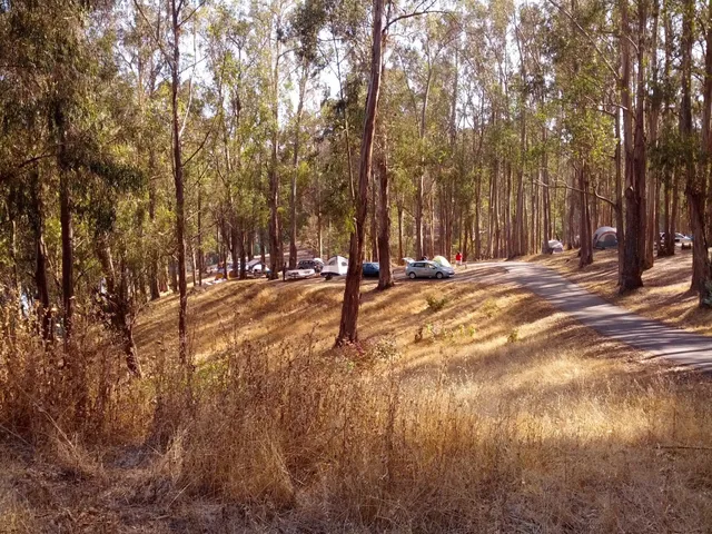 Anthony Chabot, Marciel Staging Area
