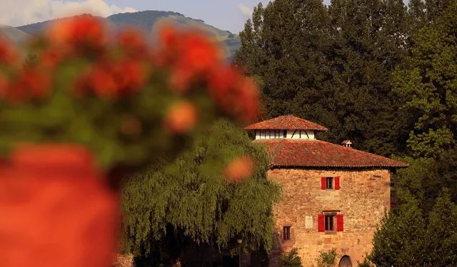 Pedroenea - Gure Bailara apartamentuak - apartamentos en Elizondo y el Valle de Baztán