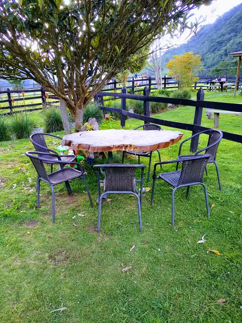 Las Palmas de Cocora