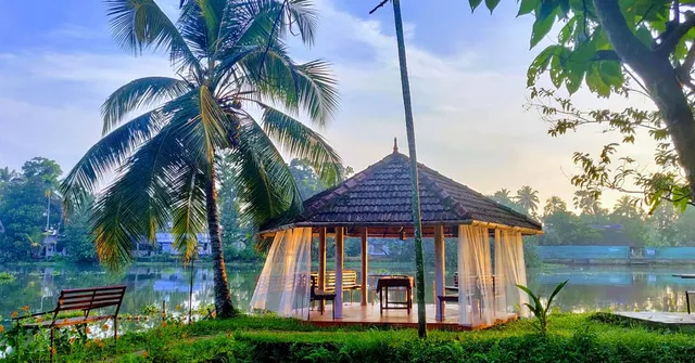 Sunsets and Palm Trees