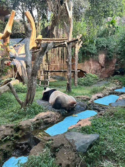 Mujigae Korean Delivery Mangga Besar