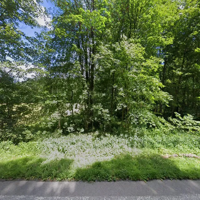 Wild and Wonderful Way