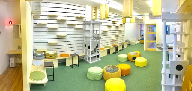 猫カフェいろり