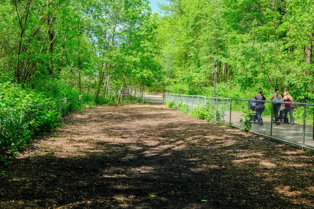 Bloomingdale Dog Run