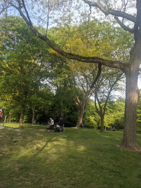 Wellesley Park