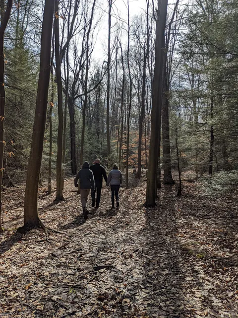 Kimberly Run Natural Area