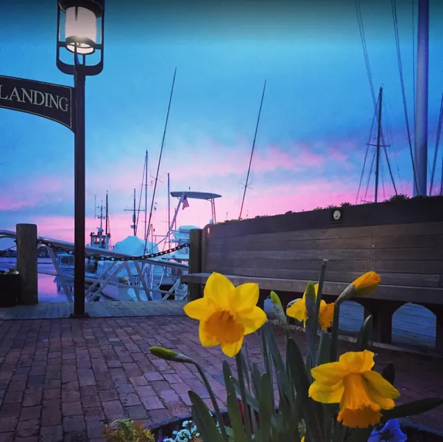 Bowen's Wharf Marina