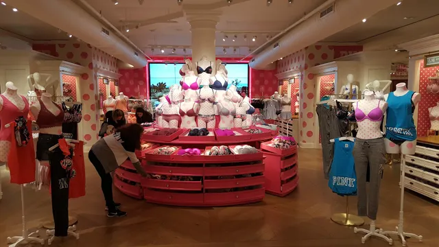 Victoria's Secret & PINK