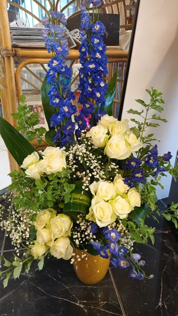 دار العوالي