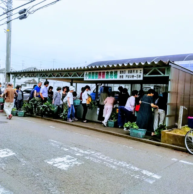 小俣園芸野菜直売場