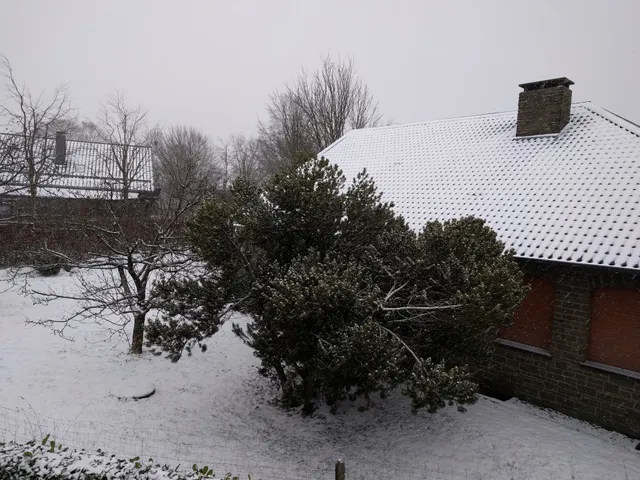 Ferienwohnung Schroiff