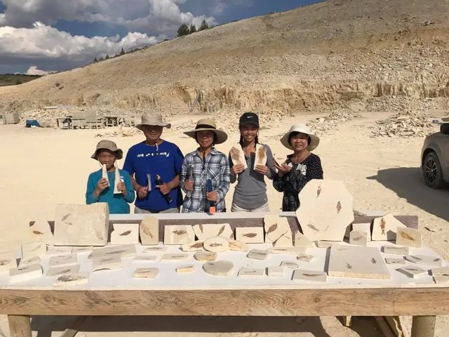 American Fossil Quarry