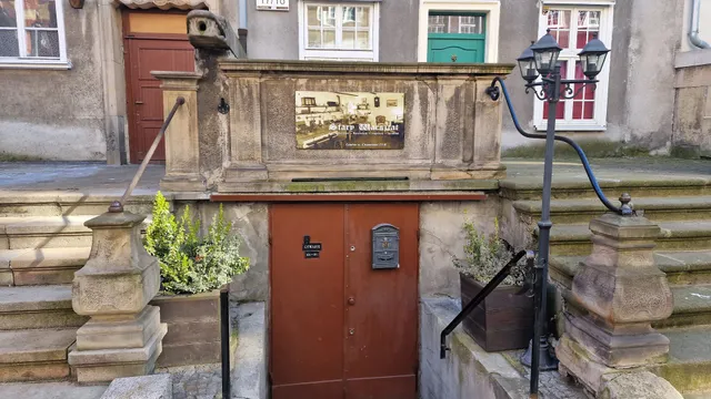 Amberia. Bursztyn, srebro, antyki