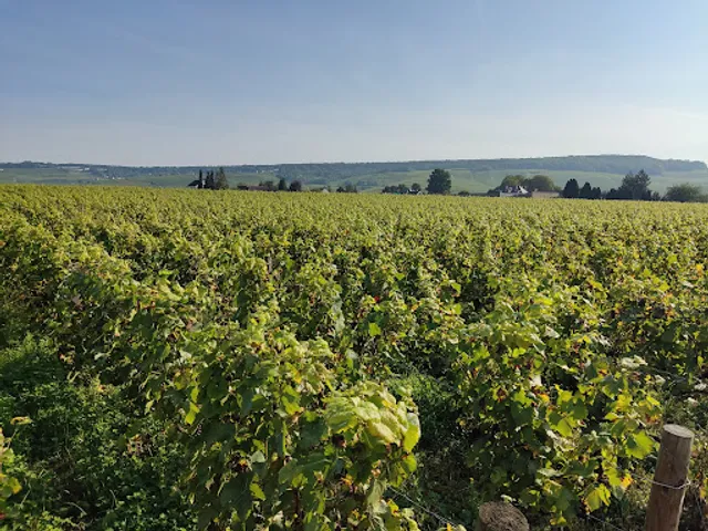 Le restaurant Campanile Epernay-Dizy