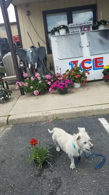 Nature's Reward Farm Market