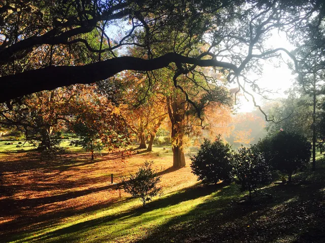 Purewa Cemetery and Crematorium