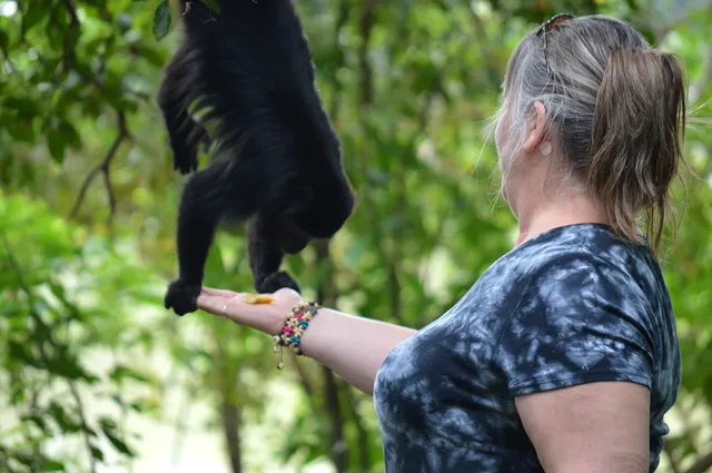 Altun Ha Maya Ruins and Community Baboon Sanctuary