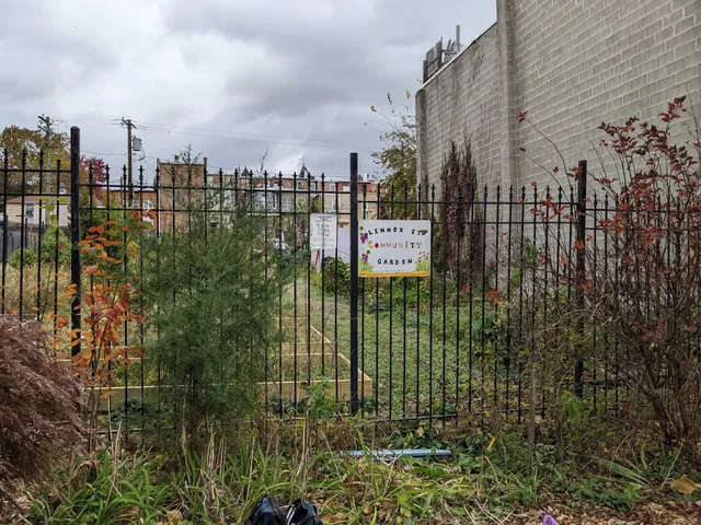 Lennox Street Community Garden