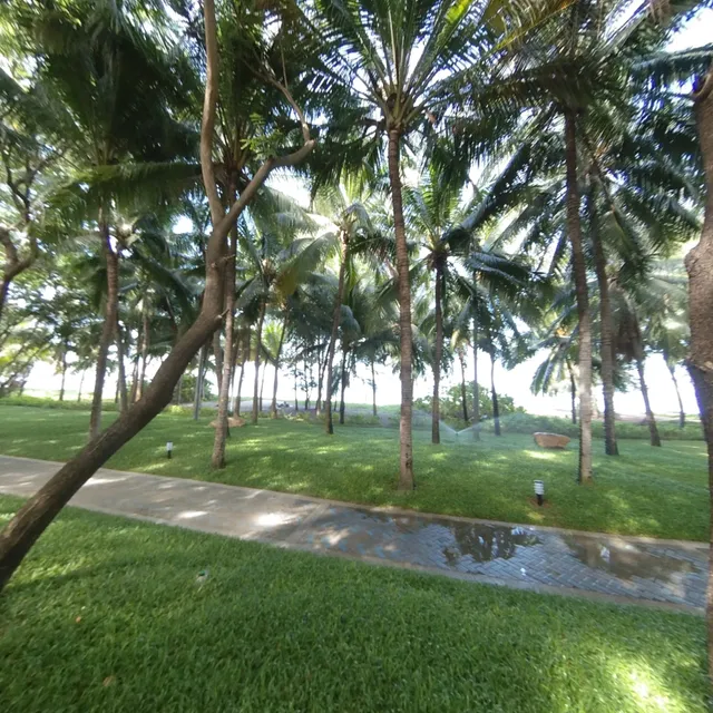 Xiao Dolphin Seafood Square