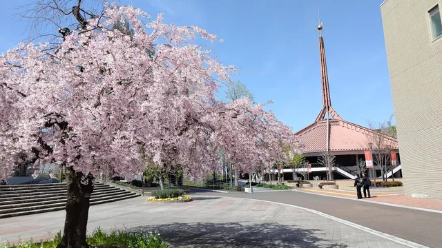 Shitennoji University