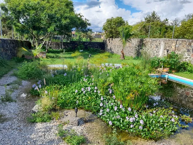 Quinta Marilú Oaxtepec