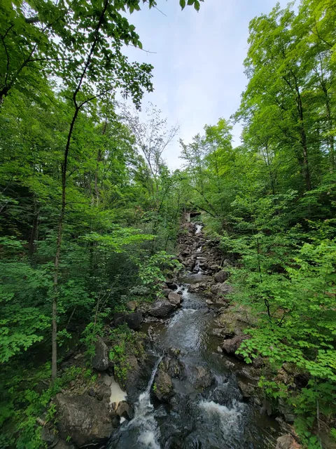 Old Chelsea Picnic Area