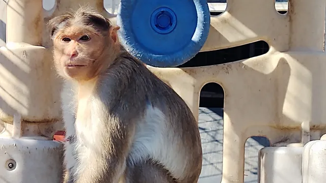 Settler’s Pond Animal Shelter