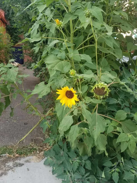 Grant County Art Guild Gallery