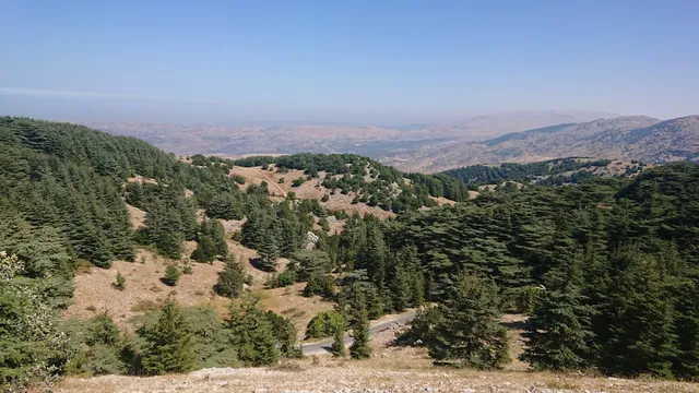Shouf Biosphere Reserve Barouk Cedar Forest
