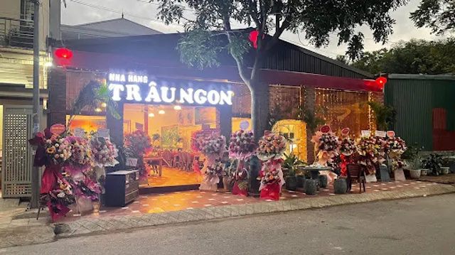 Nhà hàng trâu ngon