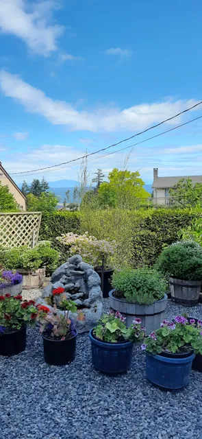 Island View Bed & Breakfast