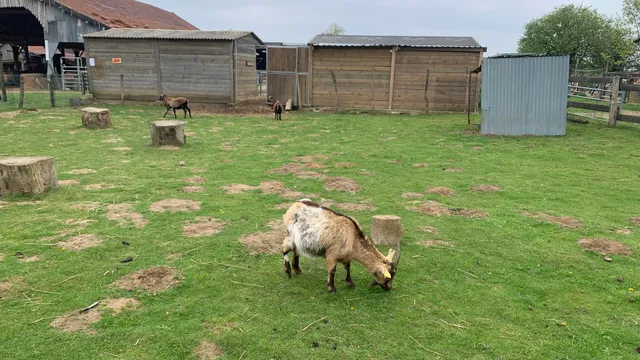 La ferme de bouriquette