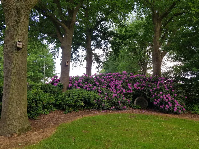 Landgoed Wittelte appartementen groepsaccommodatie