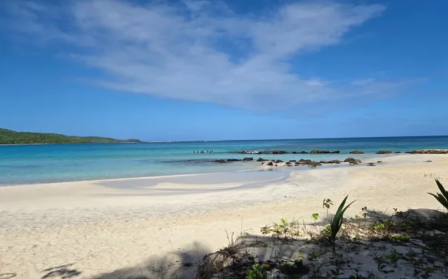 Reserva Natural de Culebra / Culebra Natural Reserve