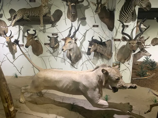 Winnemucca Visitors Center