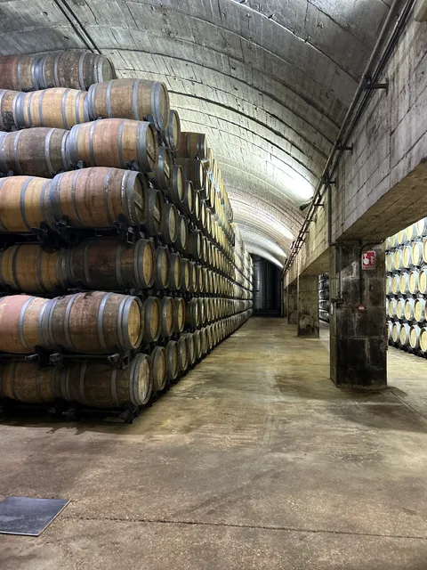 Bodega Los Llanos
