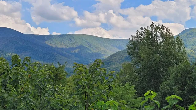 Sunridge Retreat in Shenandoah Woods