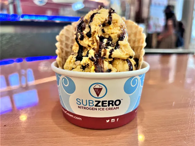 Sub Zero Nitrogen Ice Cream - Biscayne