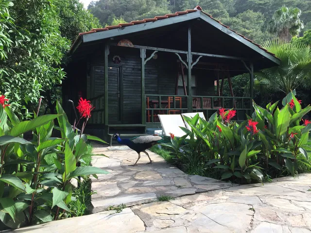 Yavuz Bungalow Hotel