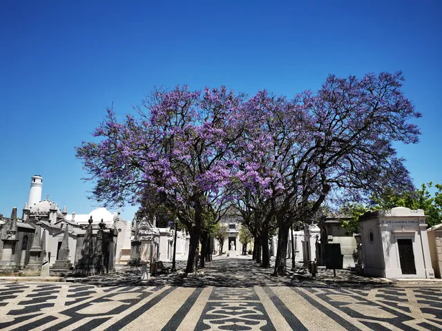 Cemitério do Alto de São João