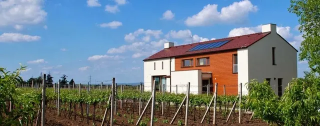 Accommodation "The Vineyard" Valtice