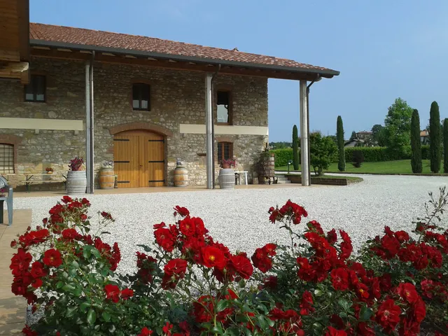 Pizzulin Denis - Wine & Living